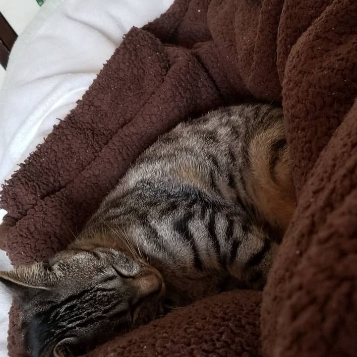 Ad6814c3 274a 4247 a8d1 8622389cc433 1687792727232