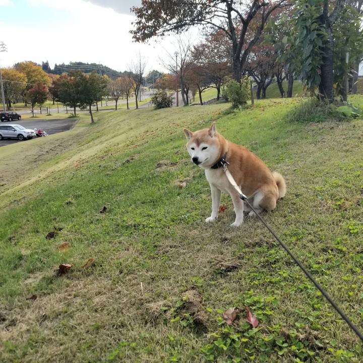 Ad681964 be8d 4d9d 81c6 63dacaccb551 1667021321513