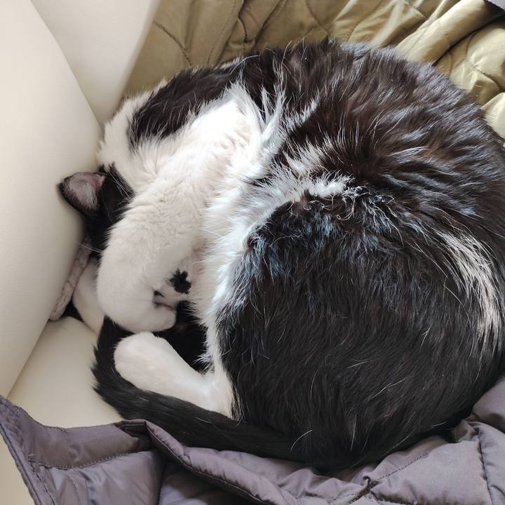 Ad681df4 c2aa 4183 adfe 56e83dea4e69 1768886736053