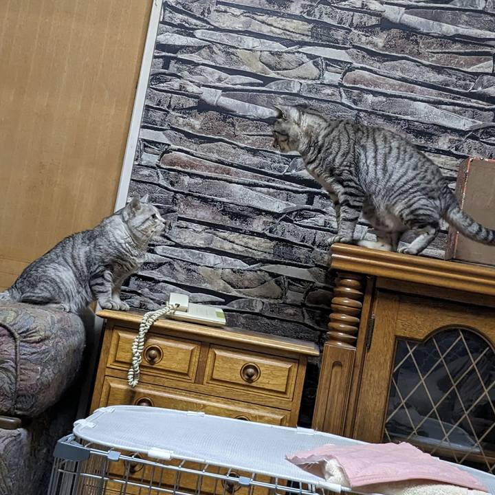 Ad683633 82b2 487f ba6a 95546400d494 1698587875050