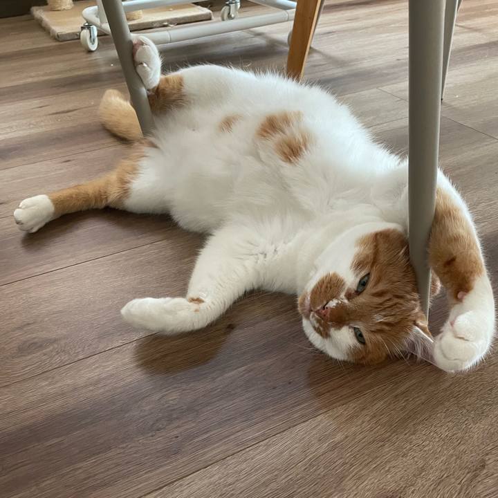 Ad6837a0 1f9c 4fb6 b77a ea7b52cb75d7 1687670993990