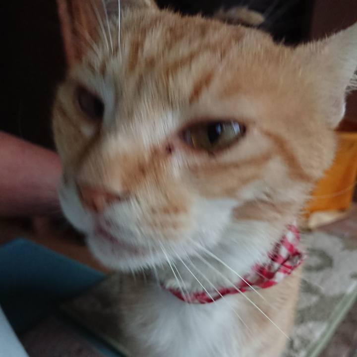 Ad684bfd b3d5 44bd 9b99 938a892e2a2b 1559899518312