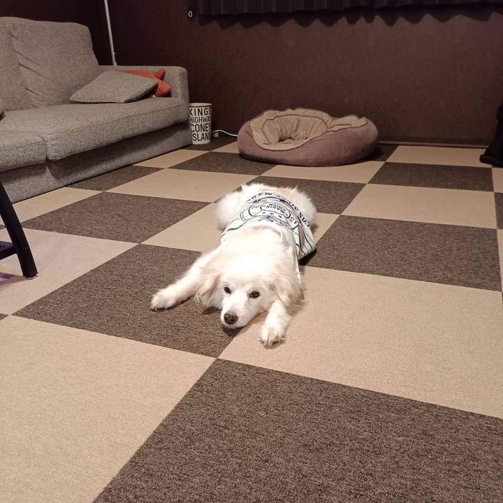 Ad684e62 7ed5 440f b547 aabf5c18c808 1755636777253