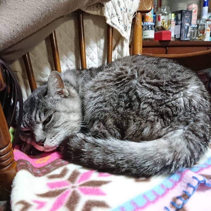 Ad685753 9a8c 4c5c 9f1e 6cb5ea9fd3d7 1604924582512