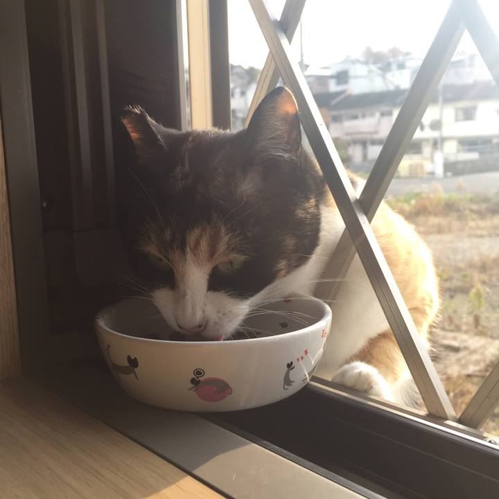 Ad68694c b6c7 4411 a141 0ec0e77bcfa9 1513223263928