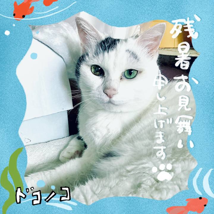 Ad689eb8 c8ab 4083 b46c 4bed9c1c1010 1723188303922