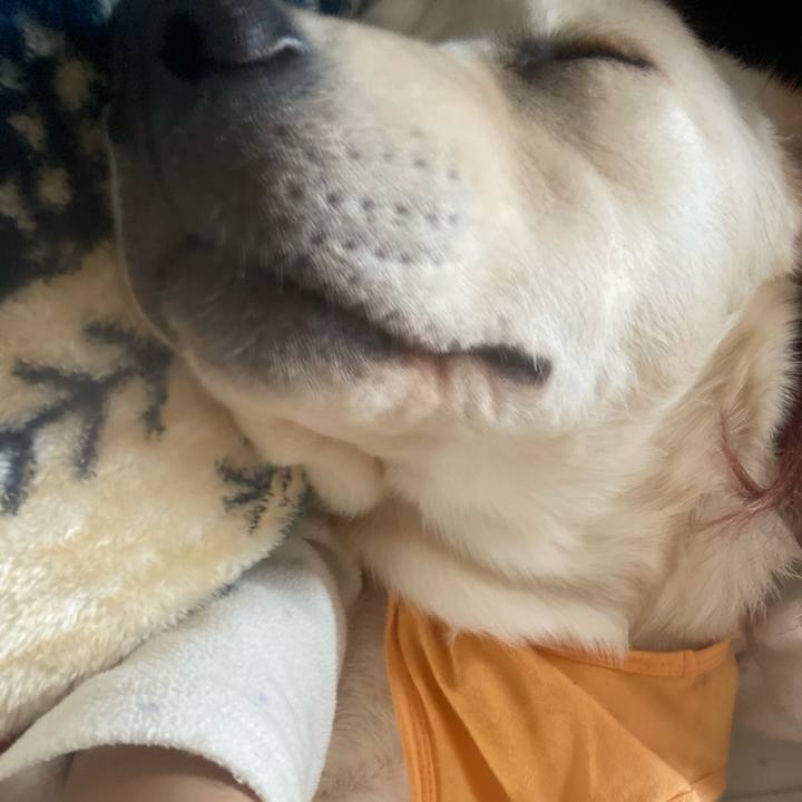 Ad68ca92 f6d8 4d27 8bad 1f9b1db58908 1617171421515