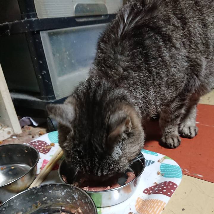 Ad68d36d e01e 4d51 9445 c509c2fe4afc 1590177891851