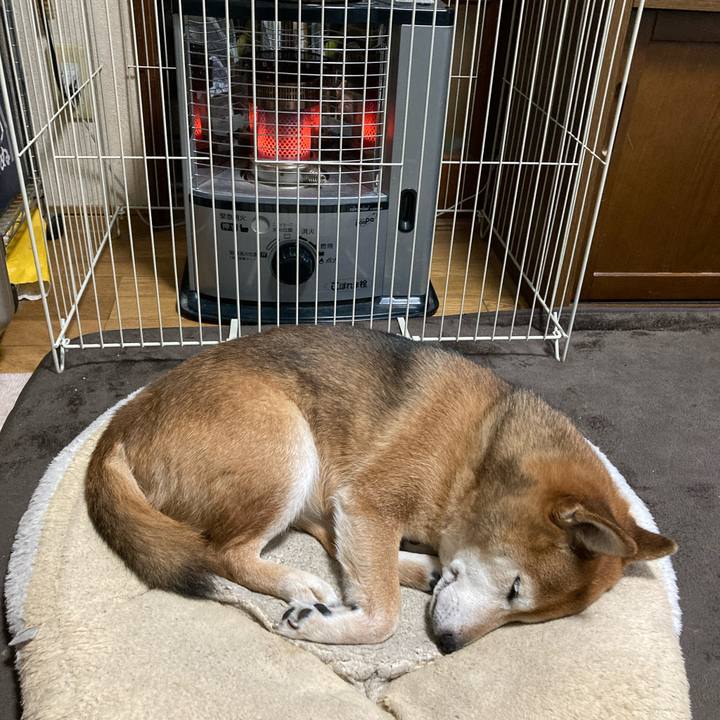 Ad68da8f 8a1b 456a 806d 64dd720b8533 1705801835199