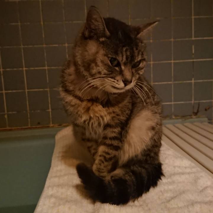 Ad692327 b77b 4898 8d23 16aeaafb9737 1585129841030