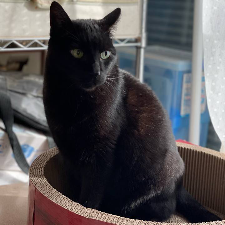 Ad692761 537b 4544 b66f f591a8e7cb0e 1648088632532