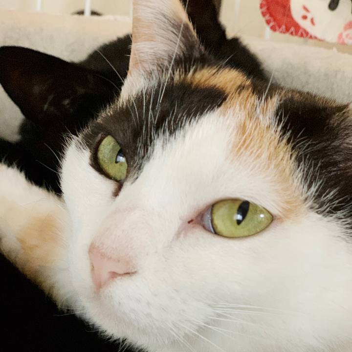 Ad6940ca 151f 4a85 b3ba 8d9e4267b0af 1550888090021