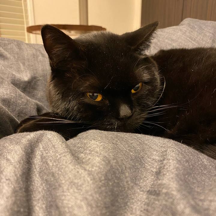 Ad697285 b95f 454d 93de e353c5b22793 1705845571427