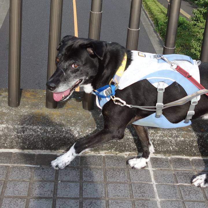 Ad69d7f6 16cd 465a 87fa 103a315a8fcb 1751068334089