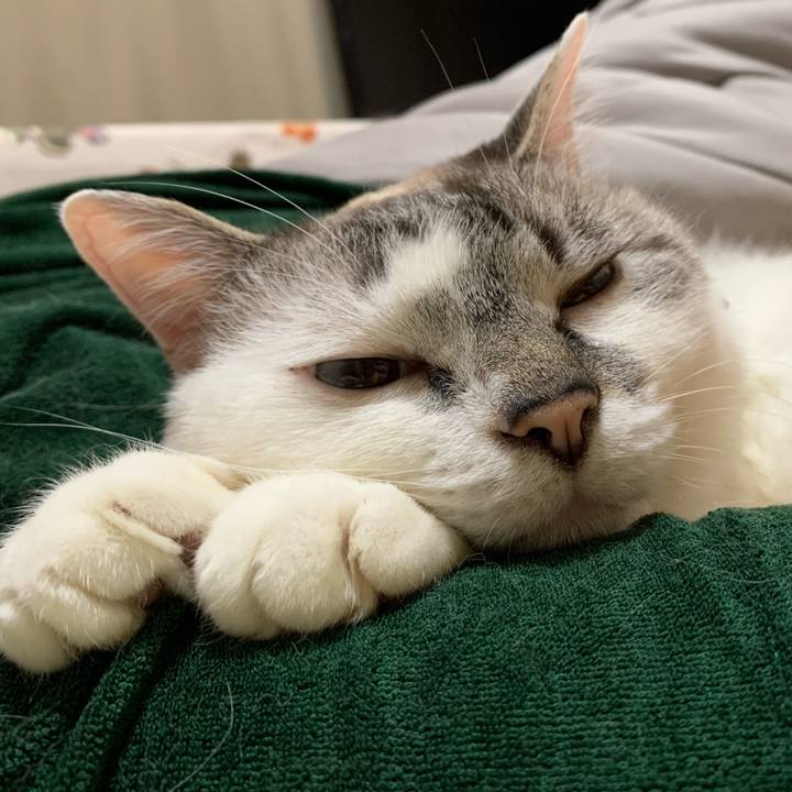 Ad6a5084 cc11 4b1a 89c3 e7604ac3493c 1590635602647