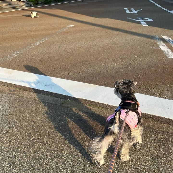 Ad6a5283 438f 4d7c 8dc5 d861dfd4105f 1750285823118