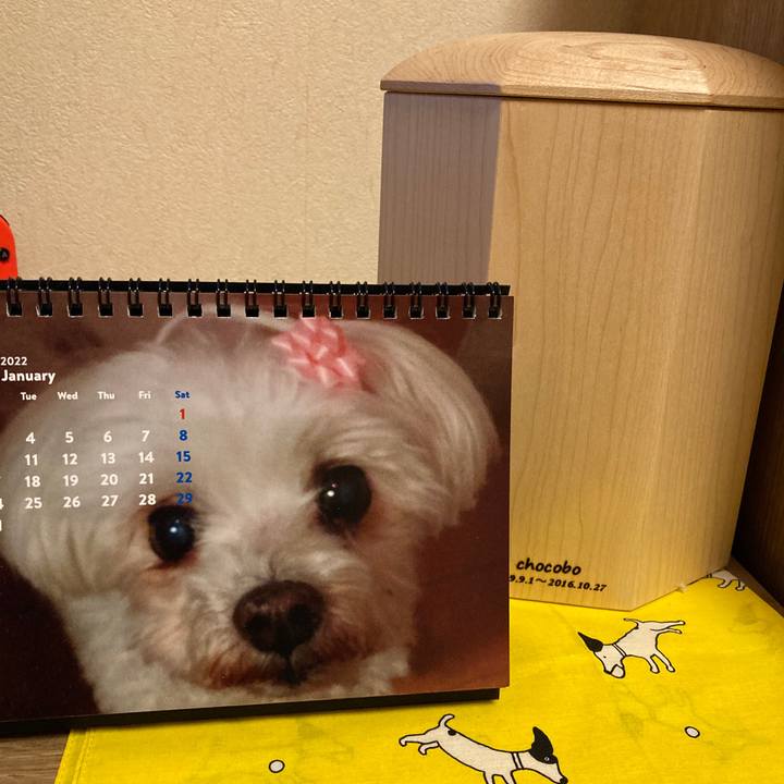 Ad6a5c21 5106 459e 999c 034d8b6ac693 1642425064062