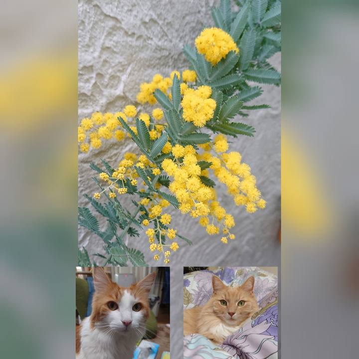 Ad6a6bd4 8562 4e72 9548 4aefa9132d9d 1614761427765