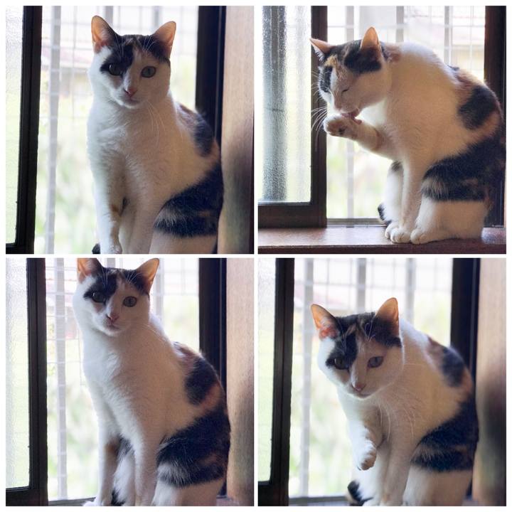 Ad6ab8dc 2464 4ed1 8535 7e066928801c 1525139176113