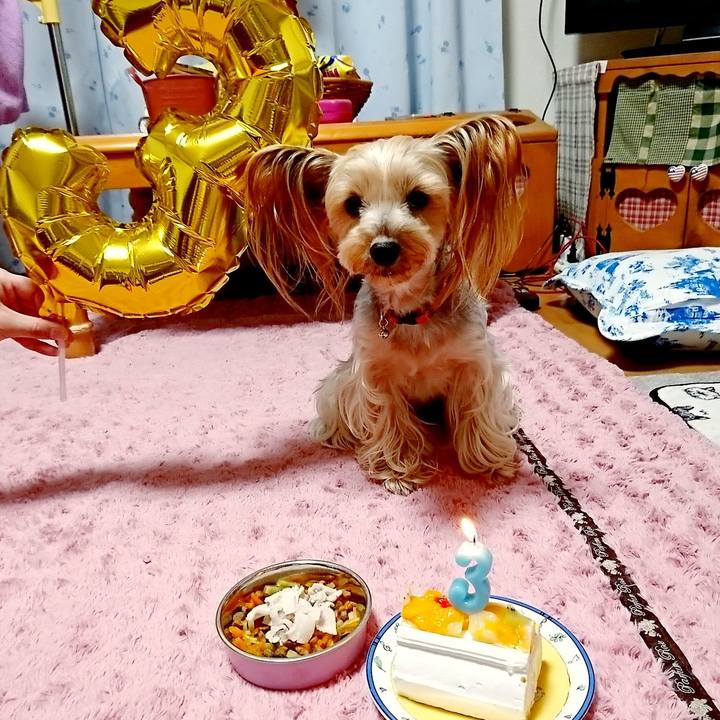 Ad6acaa2 7dfc 4dad aab8 6f278d11d578 1547809044599