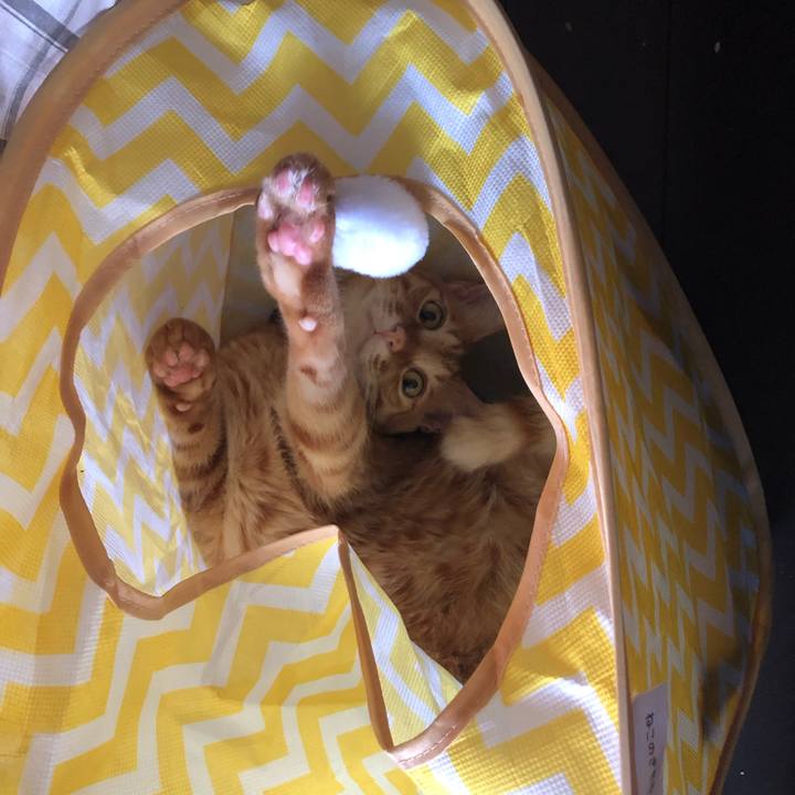 Ad6acb7b 50ba 43c8 84af 905f3f031839 1628031607793