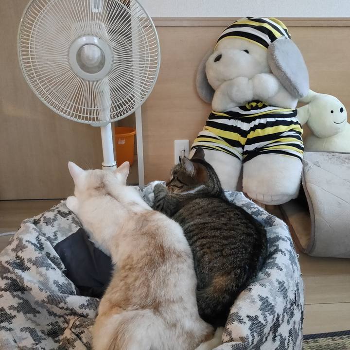 Ad6b230e ec25 488b 887a ebf66dec8038 1656578800252