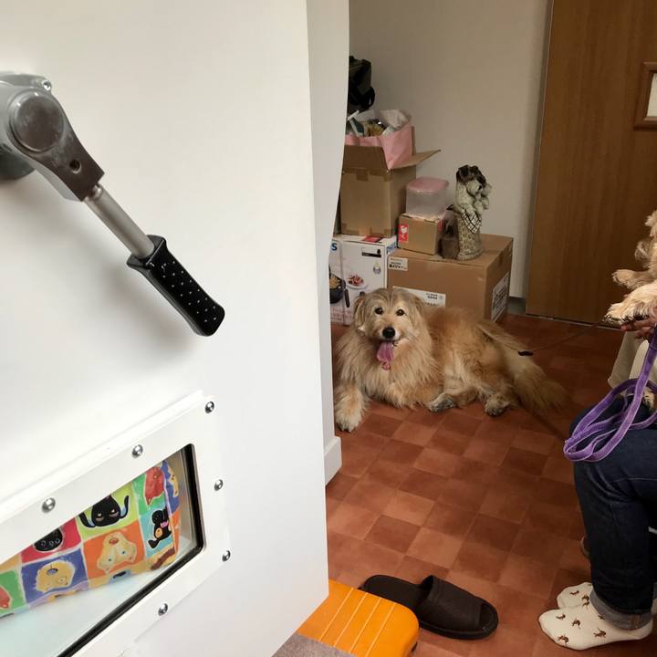 Ad6b273d 9999 4e30 bf5f 18f25b8d54a1 1555035853993