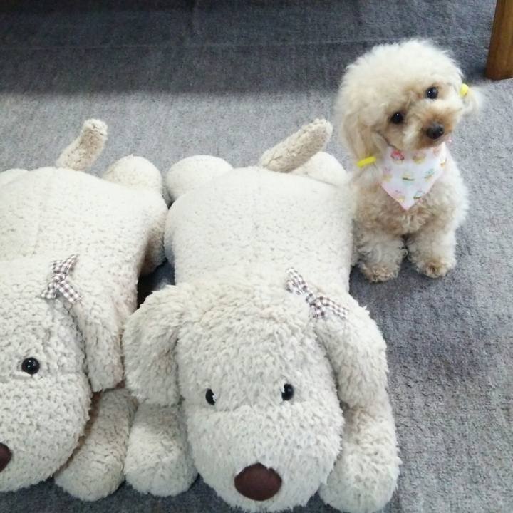 Ad6b6ca1 8722 4b27 b2ce c49ceeee833f 1535705036401