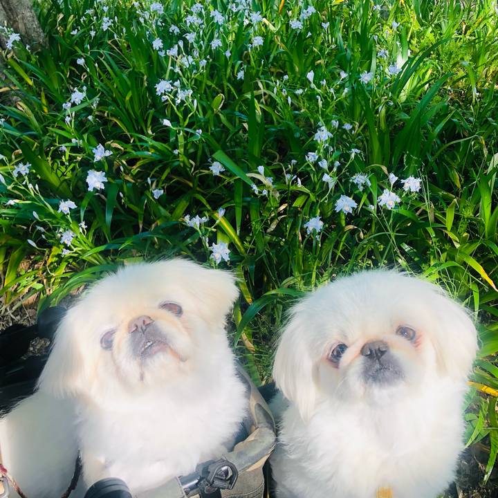 Ad6b889e 7d98 4e4d 845e fa23ecec23d5 1618107066461