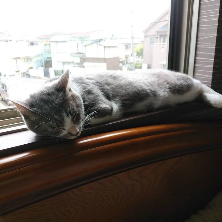 Ad6b891c 6347 4eca a673 330a71f1ed3e 1593129172711