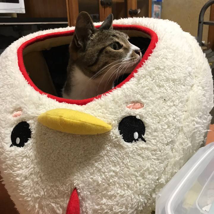 Ad6bb75d 48e4 4209 b740 ae03f4d95428 1519522137268