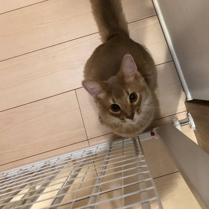 Ad6bc5ec 7d78 4efa a561 b8054d2ee6f7 1548898304792