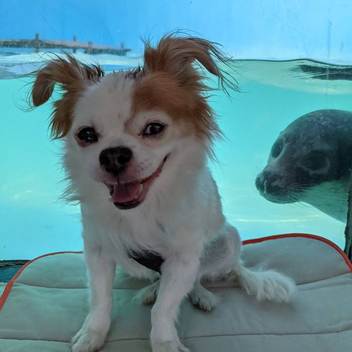 Ad6c2ee6 b143 4cf3 8a92 2a3b34ee6adb 1632487820181