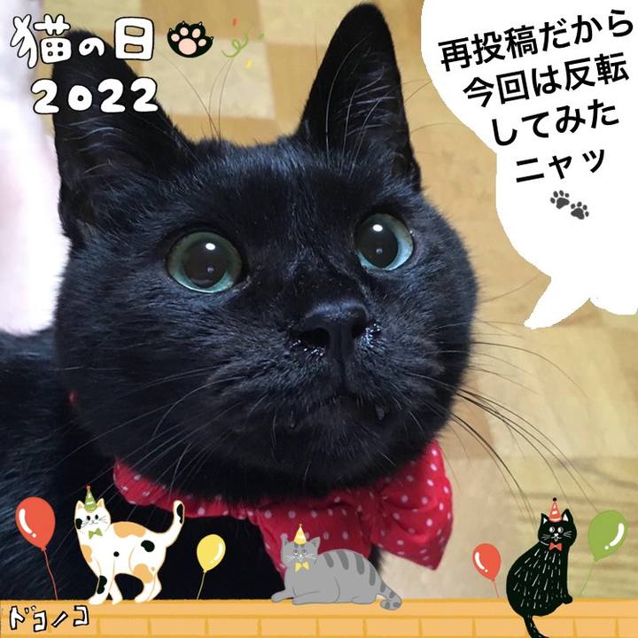 Ad6c831e bf09 4724 ba76 8c261428aeeb 1645525545392