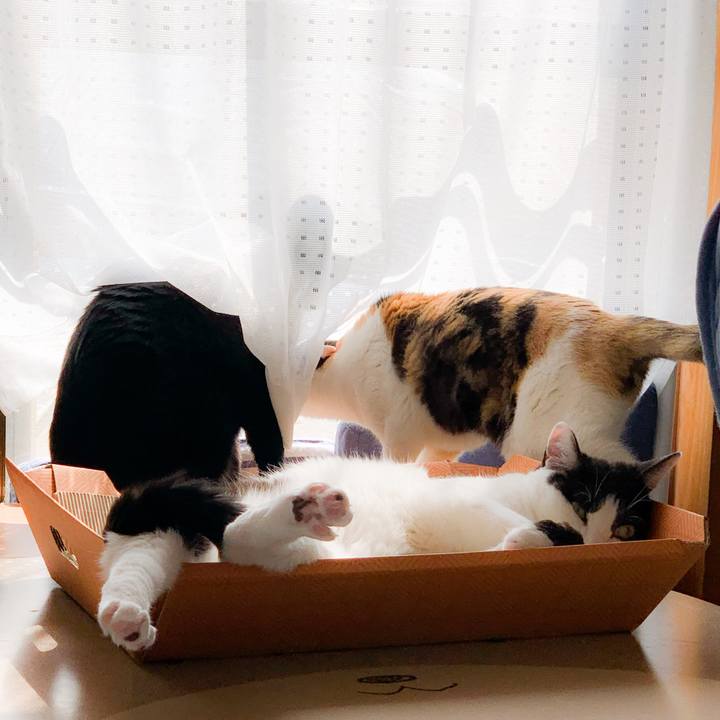 Ad6d4f17 b5f8 4d8e b455 eec78f7b7c86 1592099990865