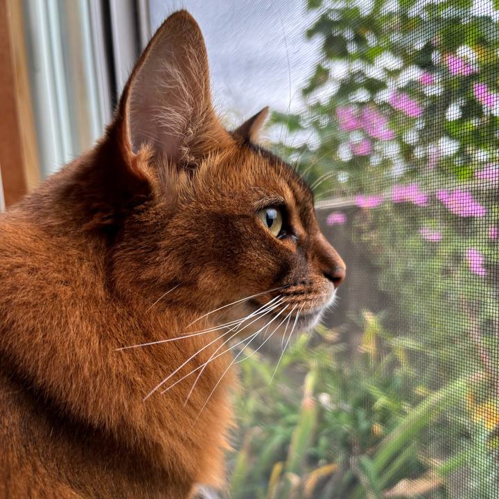 Ad6dc2e9 1a1c 49b6 9eec 210b3b01be1c 1760575269068