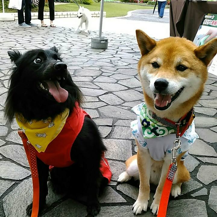 Ad6dcfe7 0ba5 4ff5 b9f0 1d90f25e3ac1 1560081108519