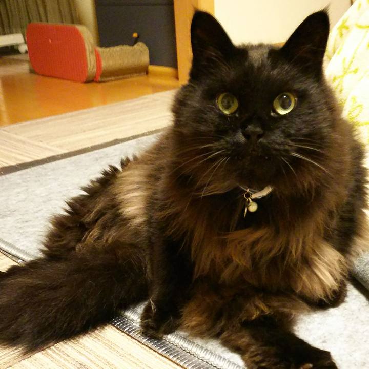 Ad6de20c 3fac 4f0e b268 a4ef73b8a601 1516881968986