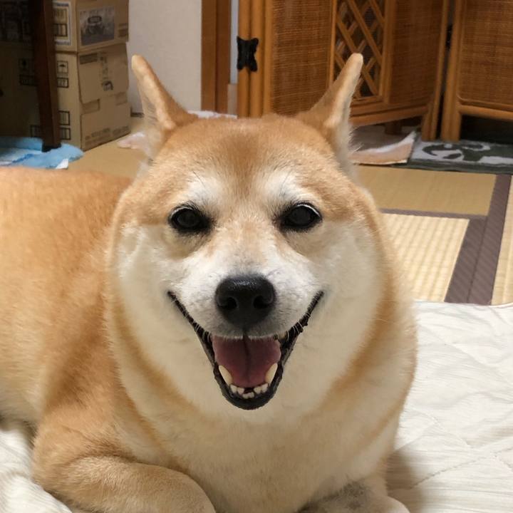 Ad6de965 2f0c 40ed b029 0df83f02b83b 1568381746756