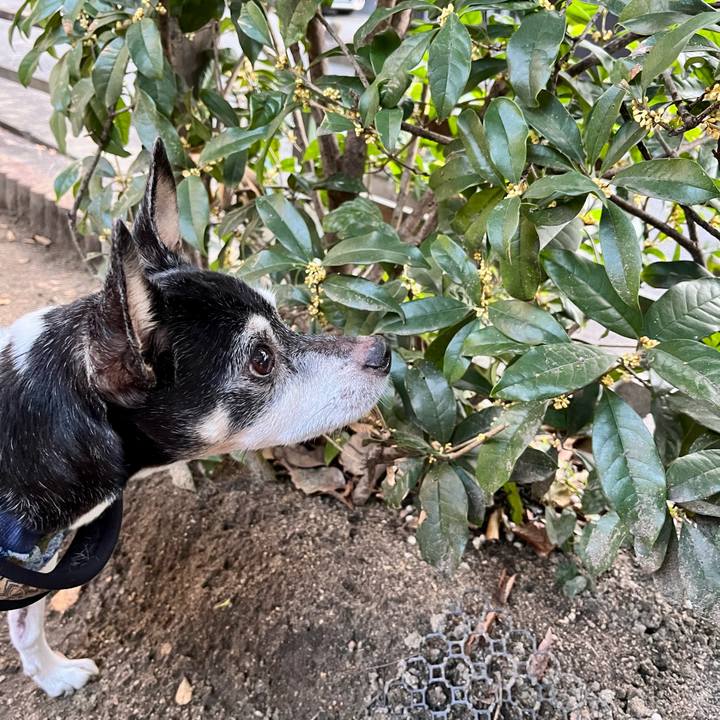 Ad6df82c 3922 4bc2 8bb8 3f5829d4a9a1 1635372293547