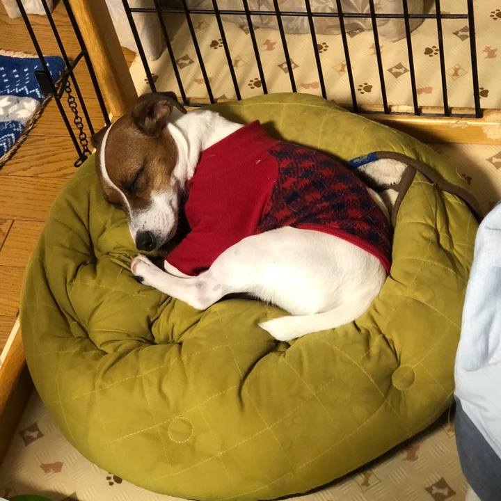 Ad6e01fa 5f09 4490 883c 541ff2f4046c 1544007845894