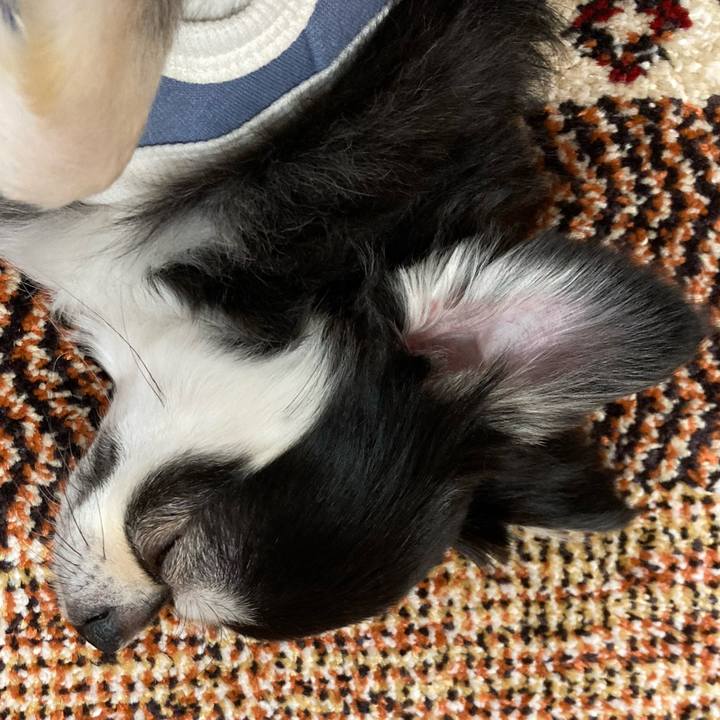 Ad6e1aa3 de21 4701 815a de03190fe157 1670161635851