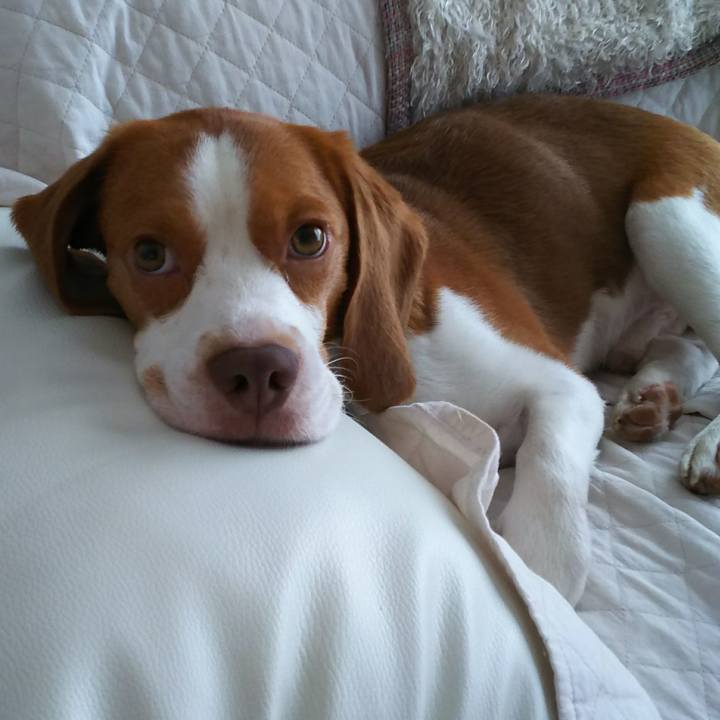 Ad6e2d7d 4c5c 411f 9325 31a73eb1c89e 1533366635112