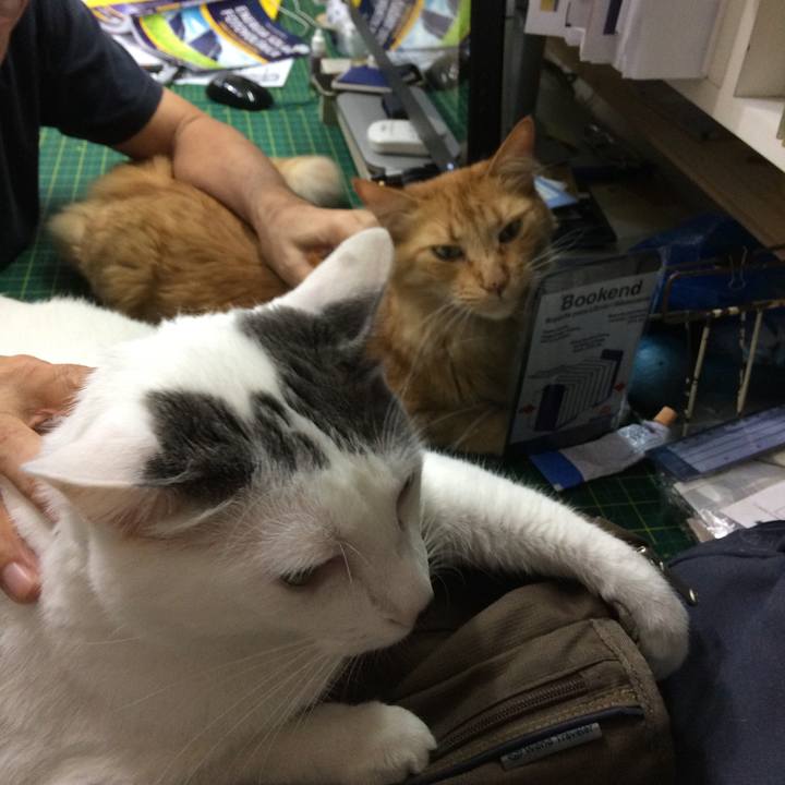 Ad6e2db9 389f 44c7 b3c2 b6ede36e5251 1555428096914