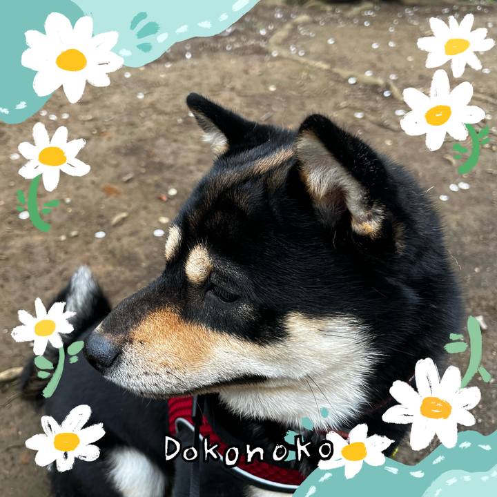 Ad6e3041 4b6b 4344 86d0 5516b51f7a2f 1712329918822