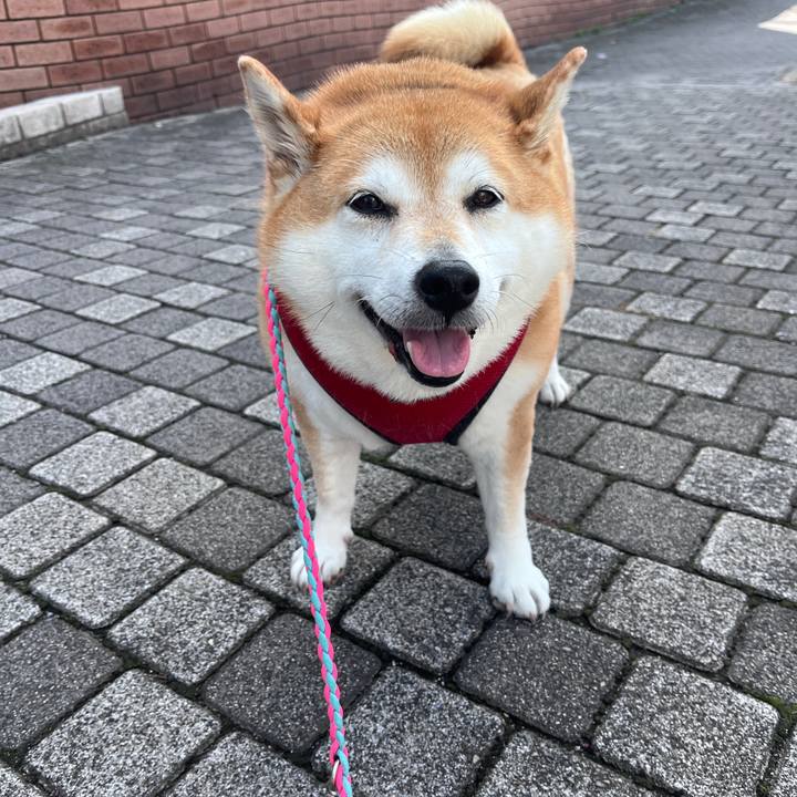 Ad6e5a32 8885 49e4 8ddf 74ab7ff6a70b 1772955191233