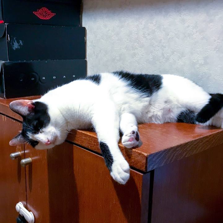 Ad6e60d3 4777 4eb5 9215 5e9a4fab1a61 1509414112154