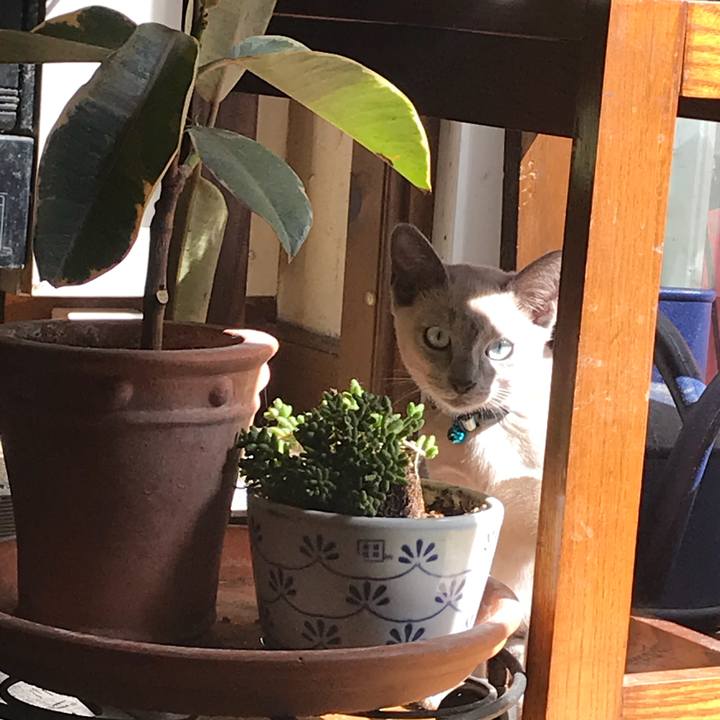 Ad6eb741 d92a 442b 995d 1b10dea14317 1534628838145