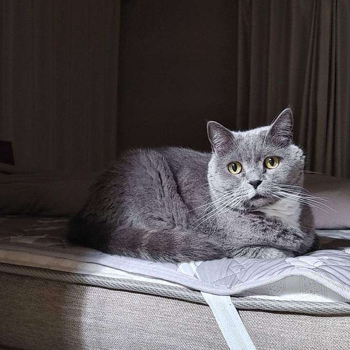 Ad6ee3b2 ea15 4db9 b6d7 7dcbd9f6967a 1715175445137