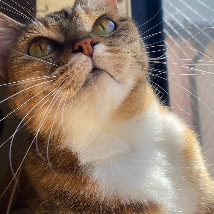 Ad6ee9ec 161e 46f4 b6d9 ef214902bd96 1587607520221